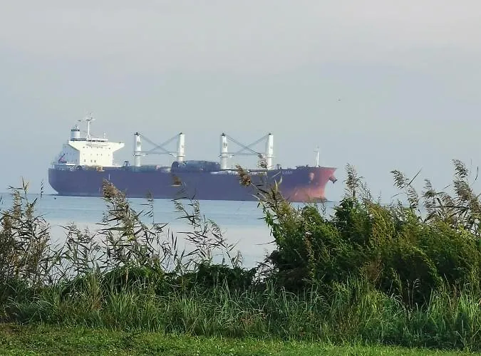 Chic&chic * Στσέτσιν